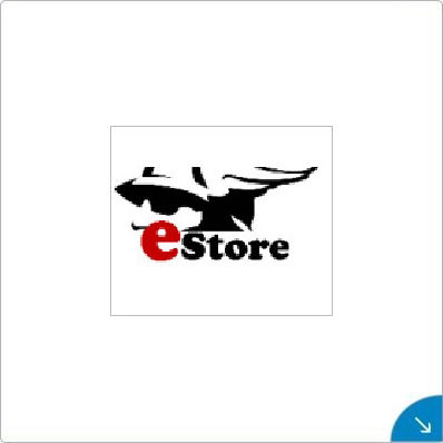 Webdesign in Bremen und Lilienthal, Worpswede, Grasberg, Fischerhude, Ritterhude, OHZ